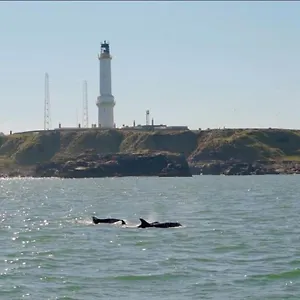 Lighthouse With Hottub Aberdeen